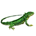 Item spinelesslizard 01.png