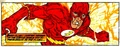 Flash 0082