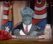 Elderinchief