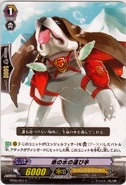 Vgbt06051