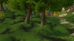 Dookin'Grounds