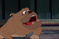 Ladyandthetramp774