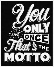 Yolo