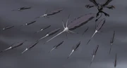 Feathers1