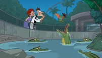 Dangling over the aligator pit.jpg