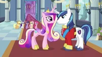 Cadance and Shining Armor reunited S2E26