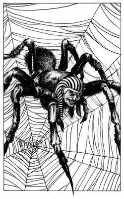 Death Spider