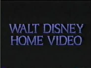 Wdhv 1995