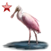 Item roseatespoonbill ruby 01.png