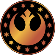 Provisionalcouncil
