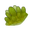 Grassy Moss