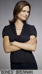 Hauptseite Brennan
