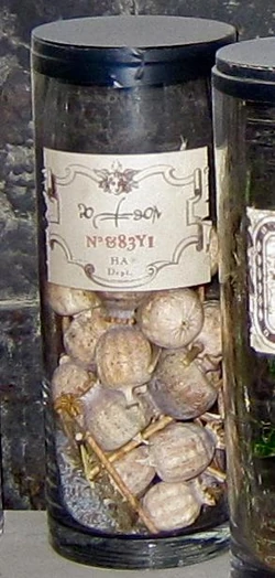 Potion No. &83Y1