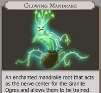 Glowing Mandrake