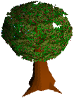 MagictreeRSC