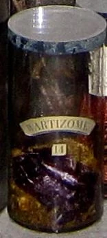 Wartizome