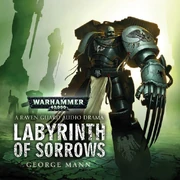 Audio LabyrinthSorrows-crop