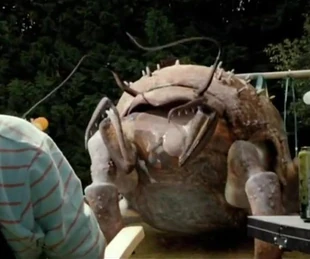 Future Burrower.jpg