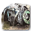 Icon 27 227
