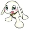 Salamon b