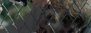Walkerstab