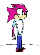 CoritheHedgehog