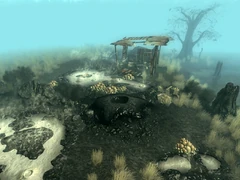 Excavated muck hole 1