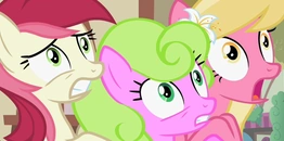 Flower ponies id