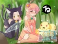 Fairy land.jpg