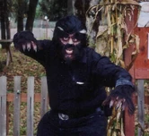 The Werewolf