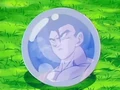 Dbz248(for dbzf.ten.lt) 20120503-18251793