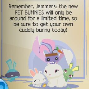 Bunny - Animal Jam Wiki