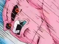 Dbz248(for dbzf.ten.lt) 20120503-18325159