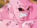Dbz248(for dbzf.ten.lt) 20120503-18331246