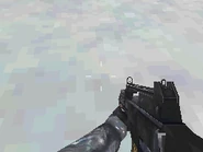 G36c mw3ds