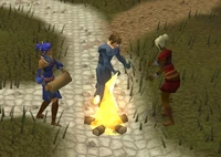 4 May 2012 facebook update hint Bonfire