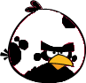 Cow Bird