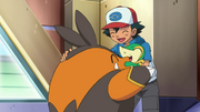 Ash and Pignite