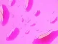 Dbz249(for dbzf.ten.lt) 20120505-11563317
