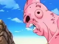 Dbz249(for dbzf.ten.lt) 20120505-11572007