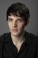 Colin Morgan-8