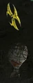 Dead Fish.jpg