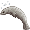 KorezSealHatchling.gif