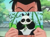 Tendo Panda Letter