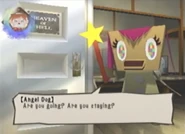 Are you going