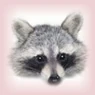 Character-raccoon.jpg
