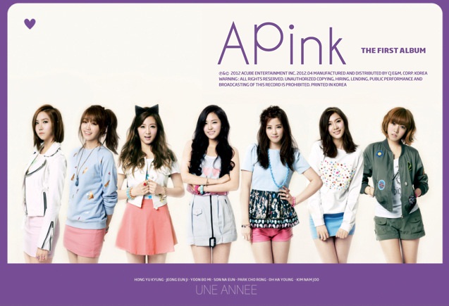 A-pink-une-annee-jacket-photo