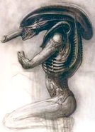 Alien Concept 1