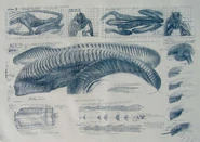 Litho-Alien-III-litho-main