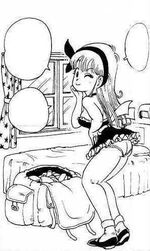 Pag 27